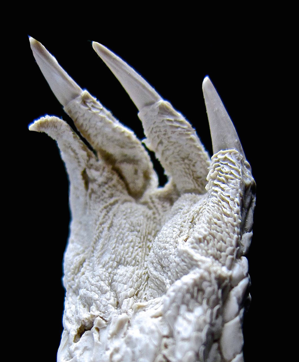 NYCC14: Plaseebo Teaser