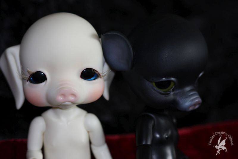 CCC’s Hen Wen and Black BuBu