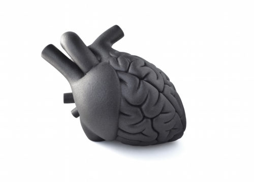 Graphite Brain Heart