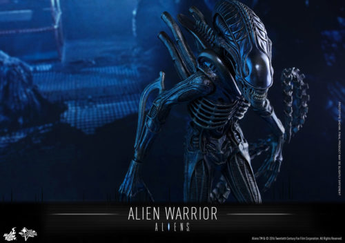 Hot Toys’ 1/6th Scale Alien Warrior
