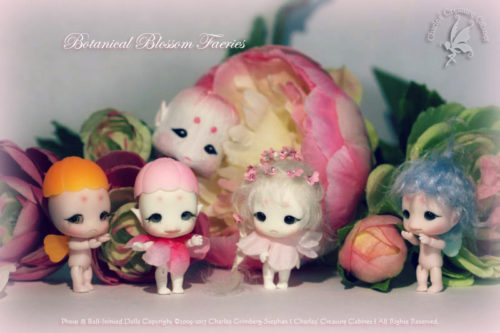 CCC So and Po Blossom Faeries