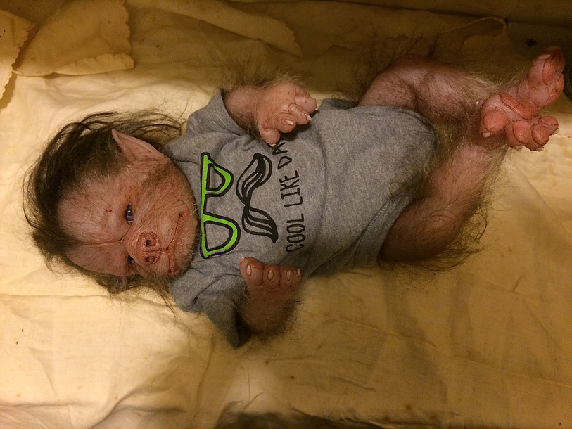 You can’t unsee WerePups