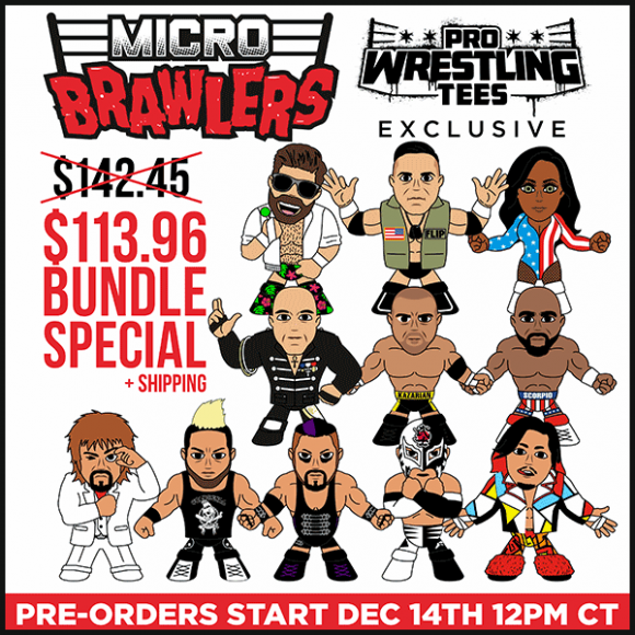 Current Micro Brawler lineup after downsizing. : r/Wrestling_Figures