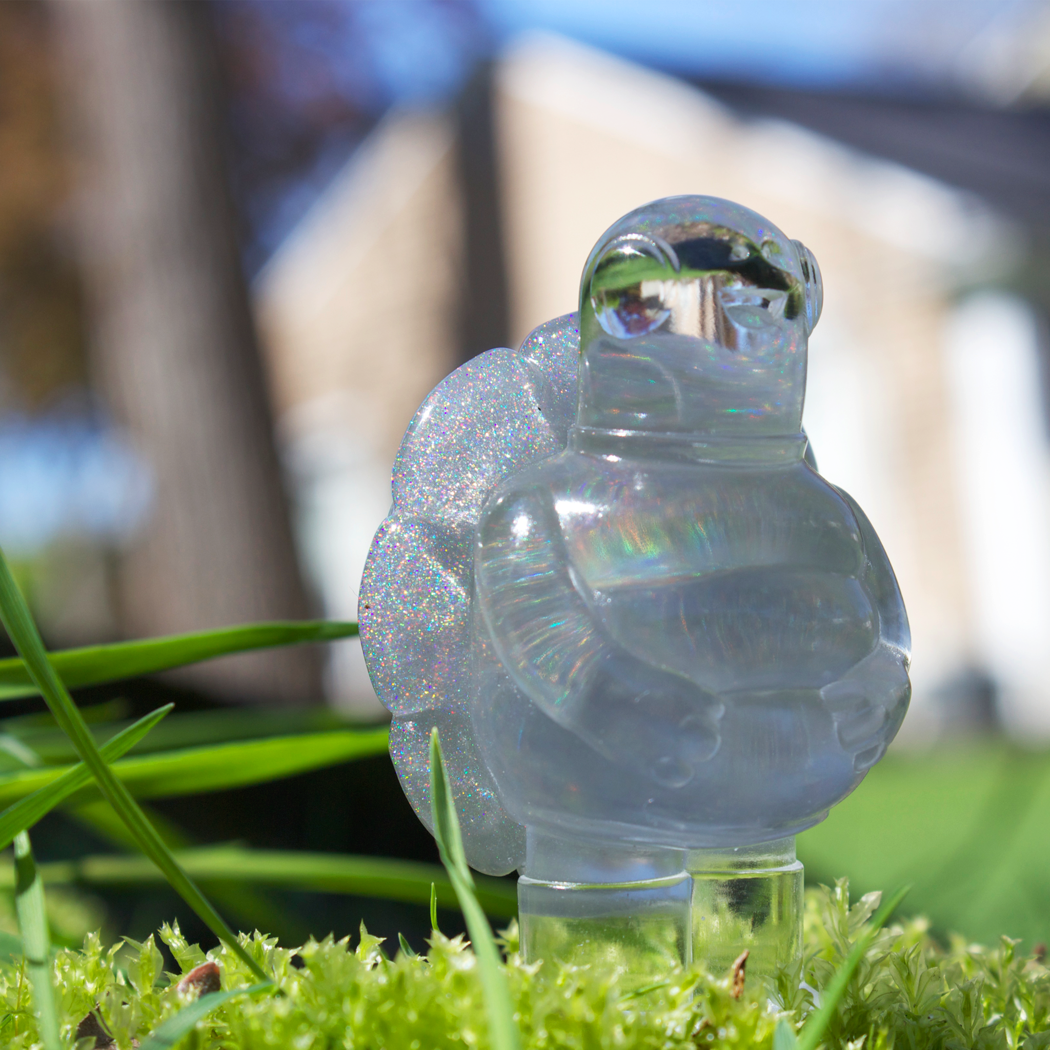 Clearly Da Best Twertle Release