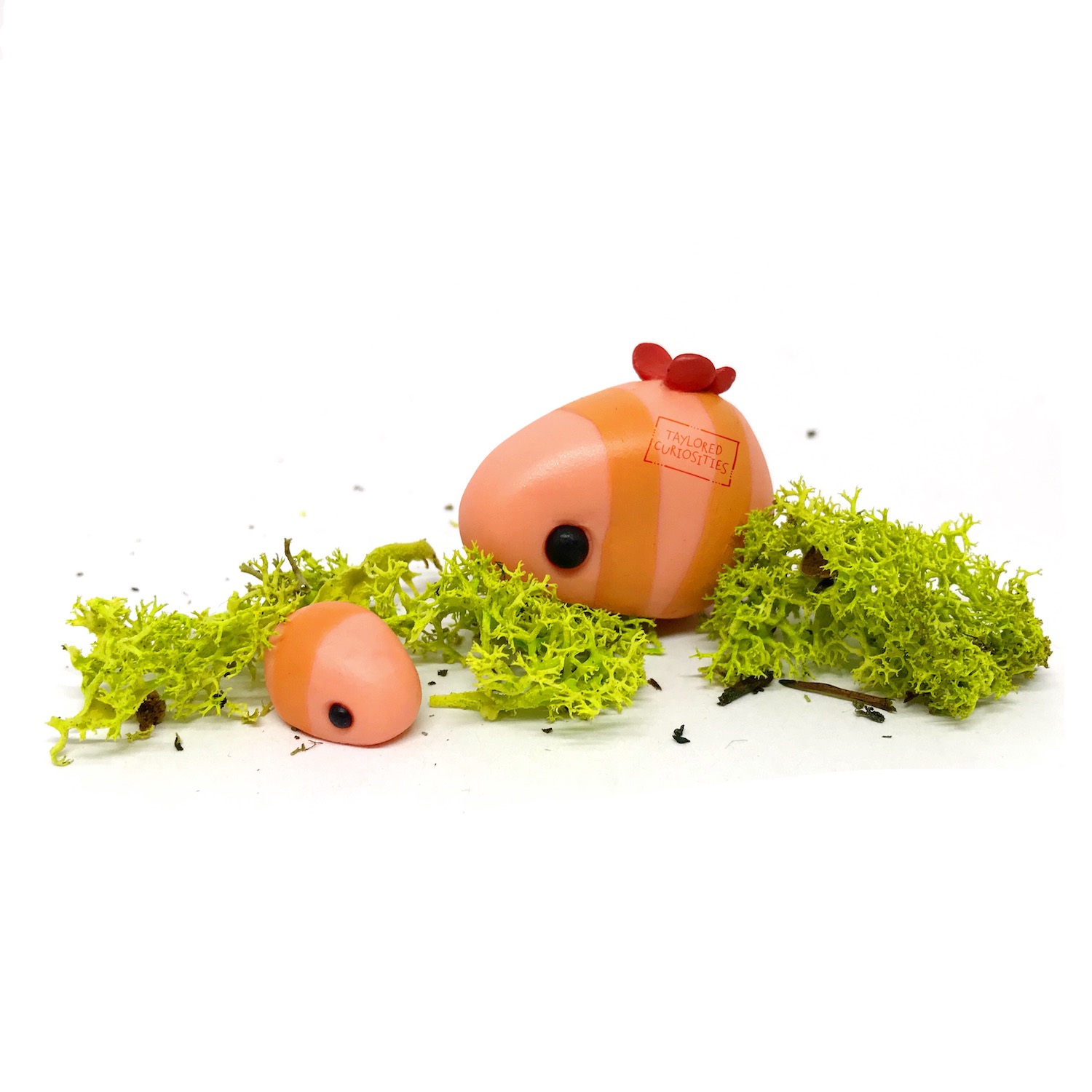 Taylored Curiosities – Butterpillars