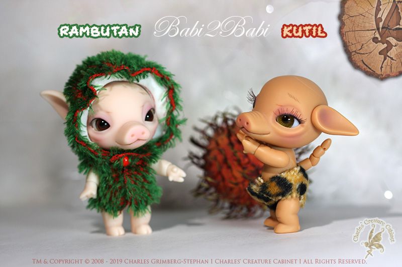 CCC’s – Babi2Babi – Rambutan and Kutil